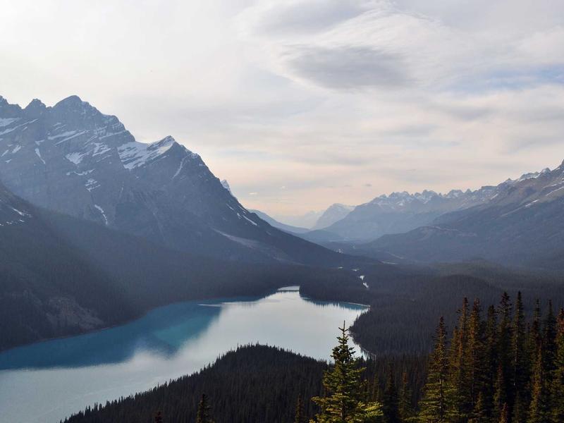 Phong cách thời trang xa xỉ với Cashmere