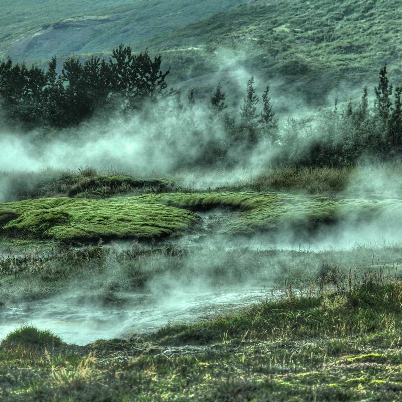 Túi Xách Nữ Da Thật Elegance 4