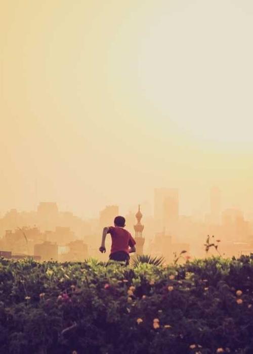 Dự án Indigo Dream