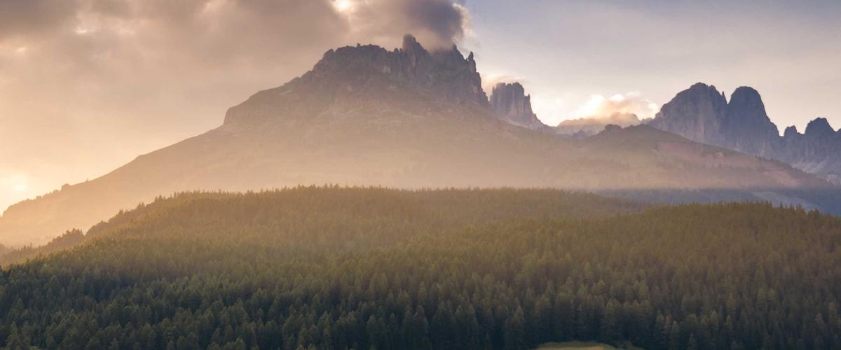 Behind the scenes Tailor Hòa