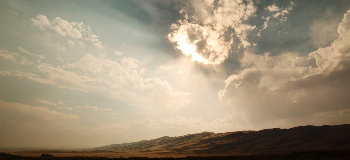 Developer Dashboard 2026