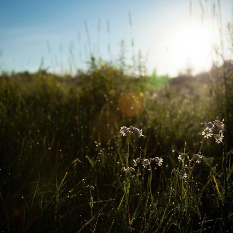 Set Nội Y Ren Pháp Quyến Rũ 2