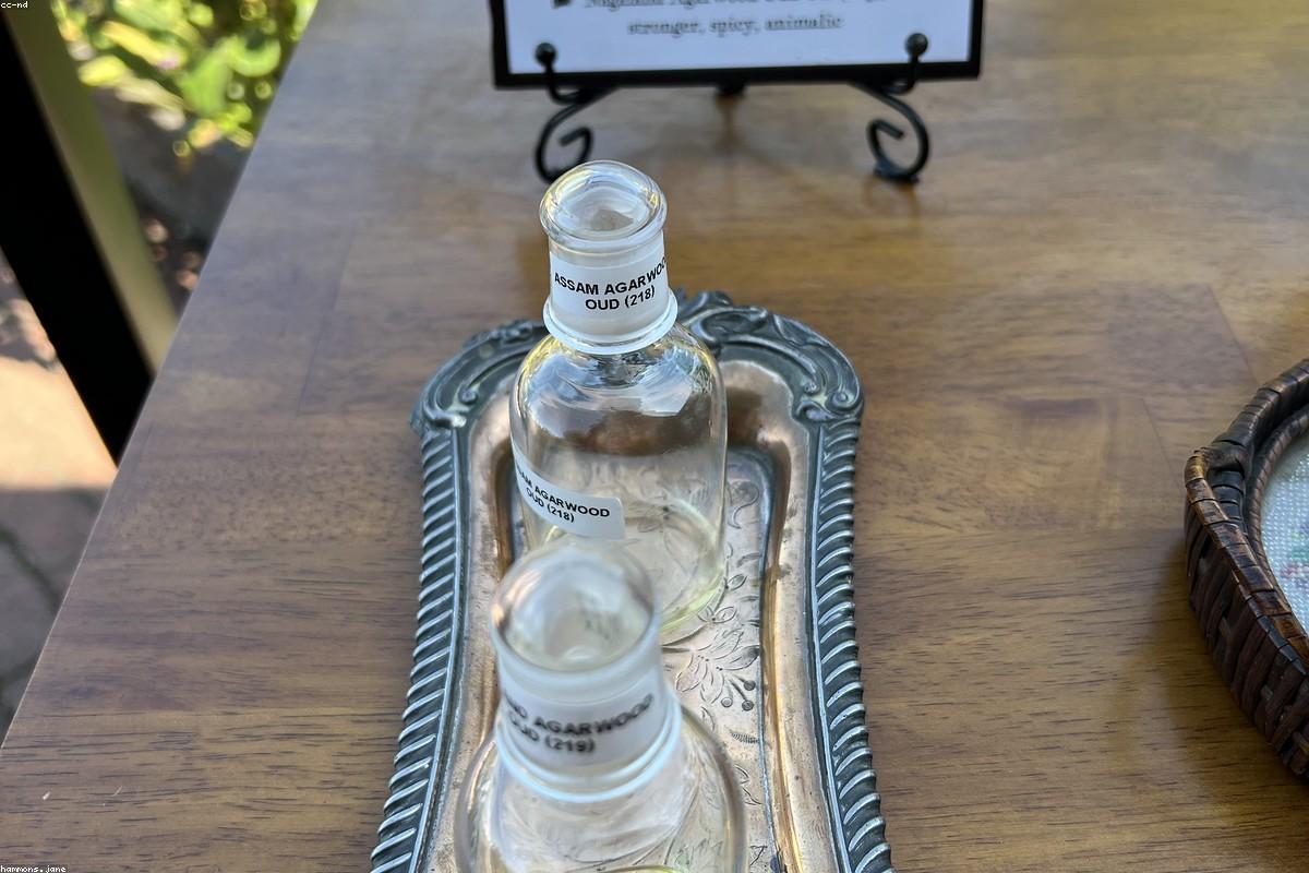 Vintage perfume bottles layout