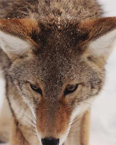 Retro-Futurism Sunglasses