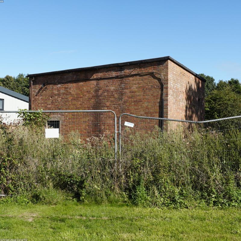 Nến Thơm Gỗ Thông Đan Mạch