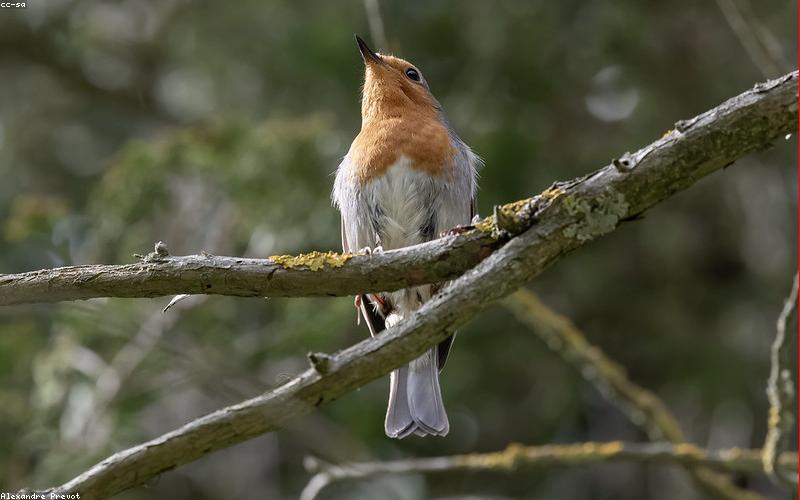 Sản phẩm dược mỹ phẩm SkinRx VN