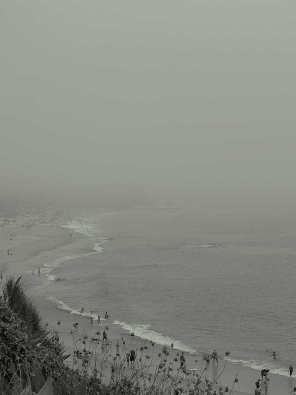 Hoa sấy khô vĩnh cửu