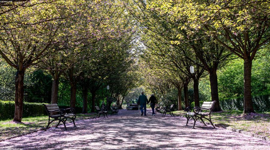 Sự giao thoa công nghệ và tự nhiên