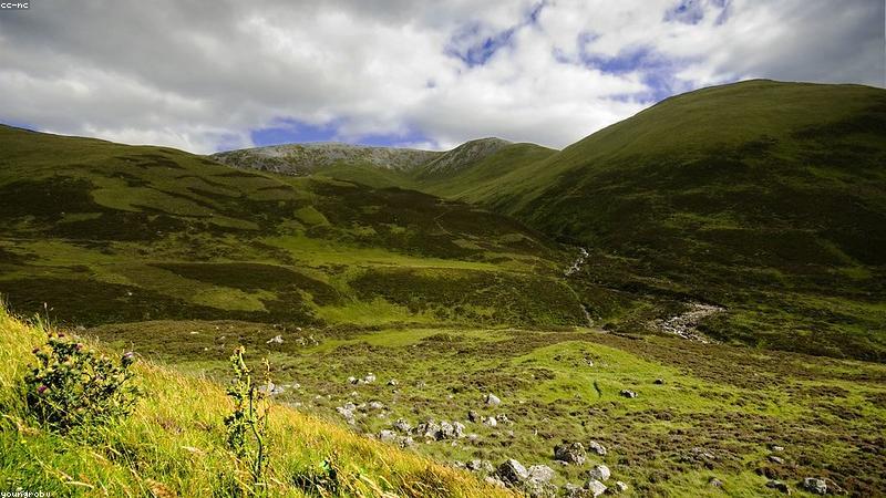 Cảnh quay từ trên cao của DJI Mini 4 Pro