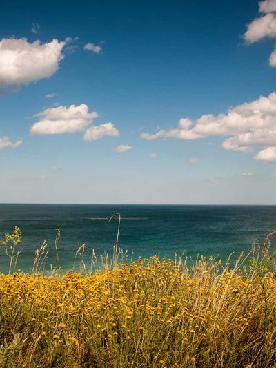 Bikini Cầm Tăm 2026