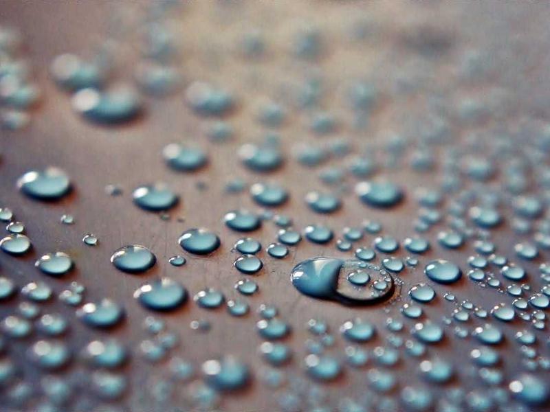 Automated Customs Warehouse