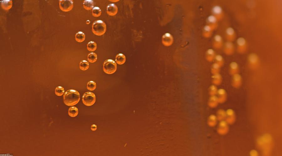 Champagne và Canapes