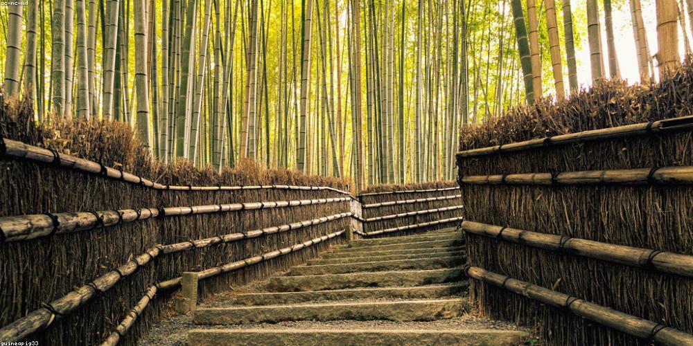 Văn hóa Nhật Bản truyền thống