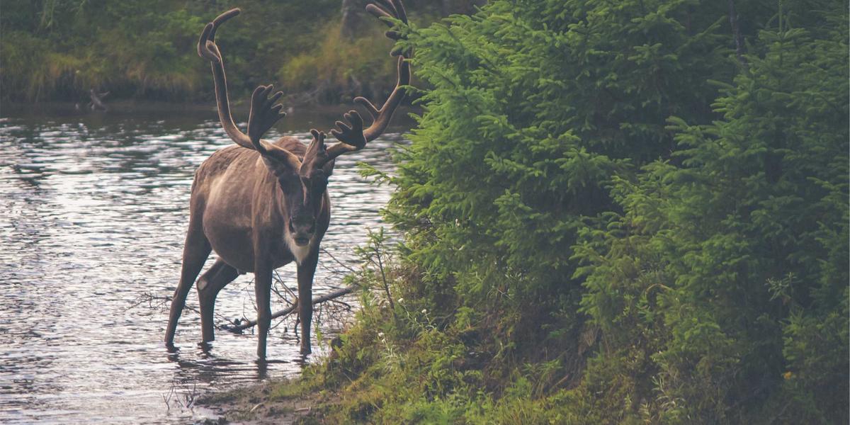 Quantum Encryption Hero