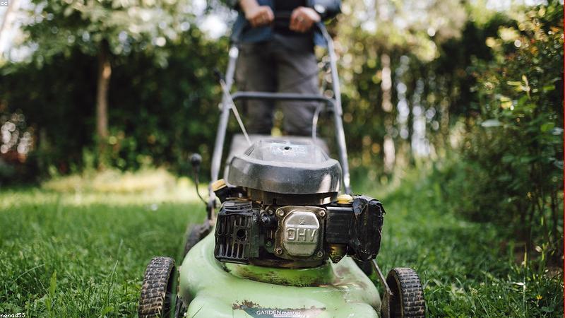 Lối sống xanh bền vững