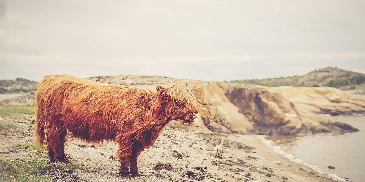 Sản phẩm kính mát hoàn thiện trên bãi biển