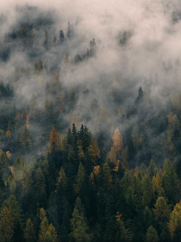 Creative Studio Collaboration