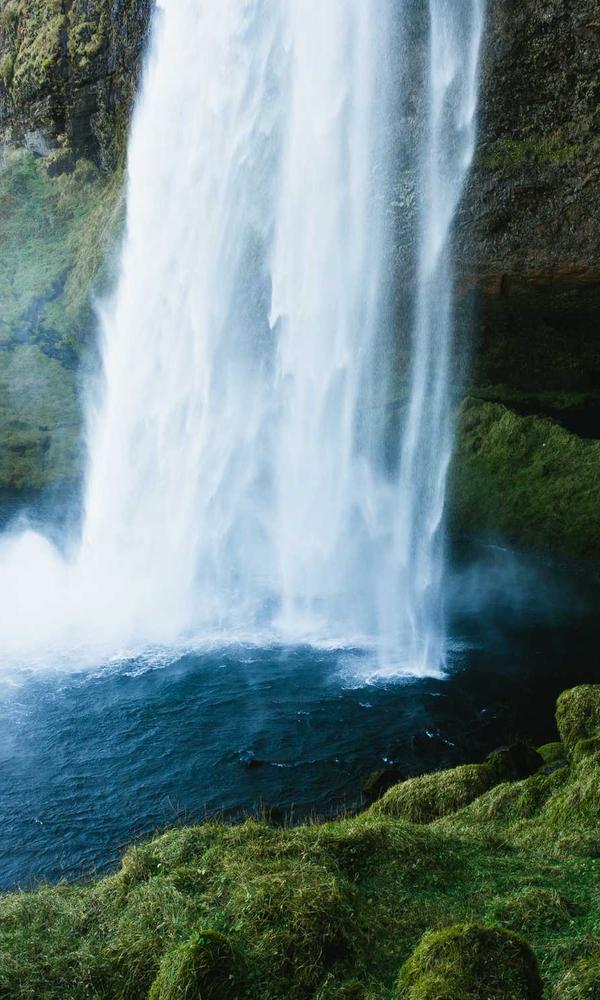 Clinical Environment