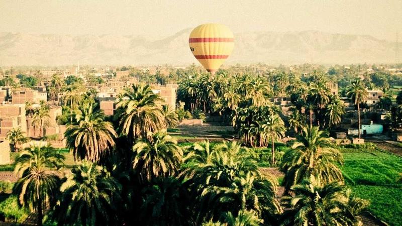 Robot nướng bánh 2026