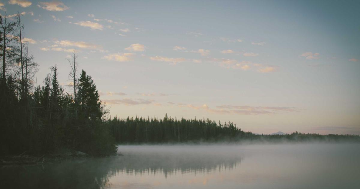 Xu hướng thiết kế website tự động bằng AI năm 2024: BrandBoost dẫn đầu cuộc cách mạng số