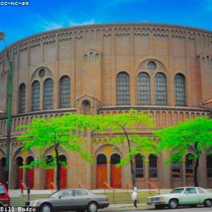 EcoHome Living Botanist