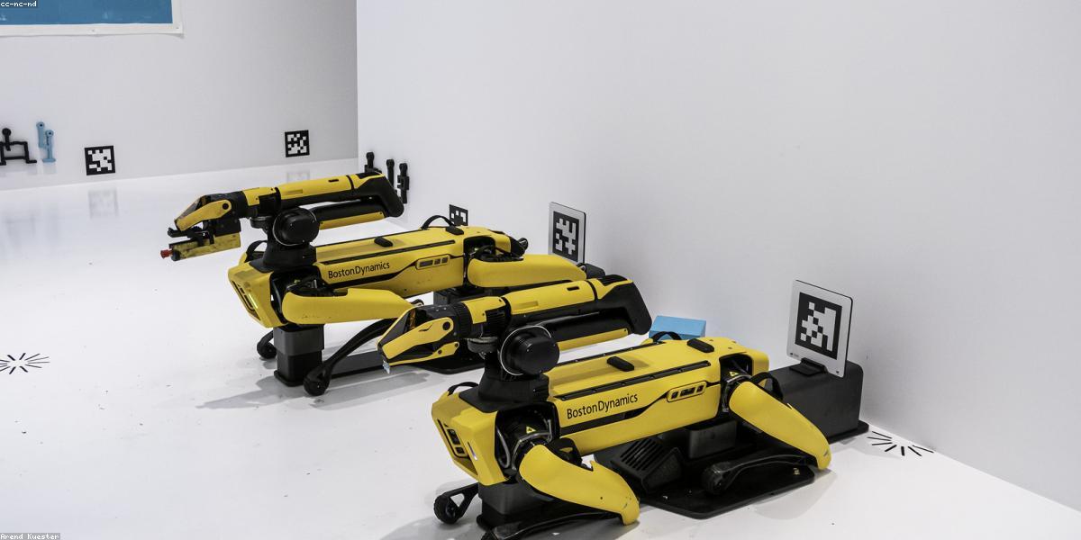 AI in Software Development