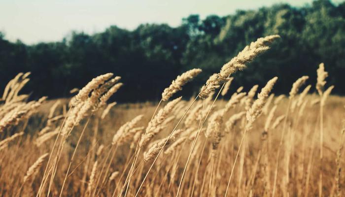 Hoạt náo tiệc sinh nhật thiếu nhi 2026