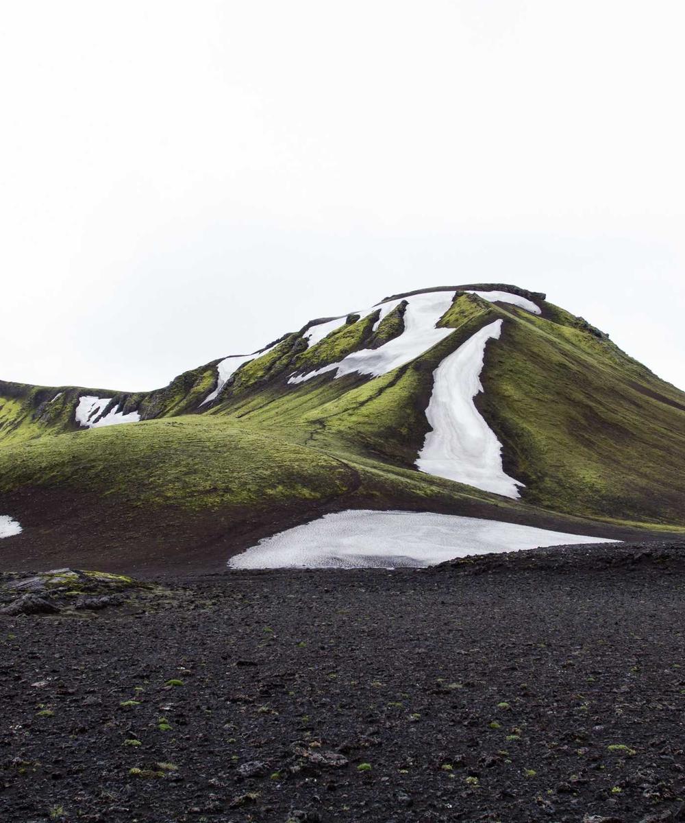 DNA Lab Professional