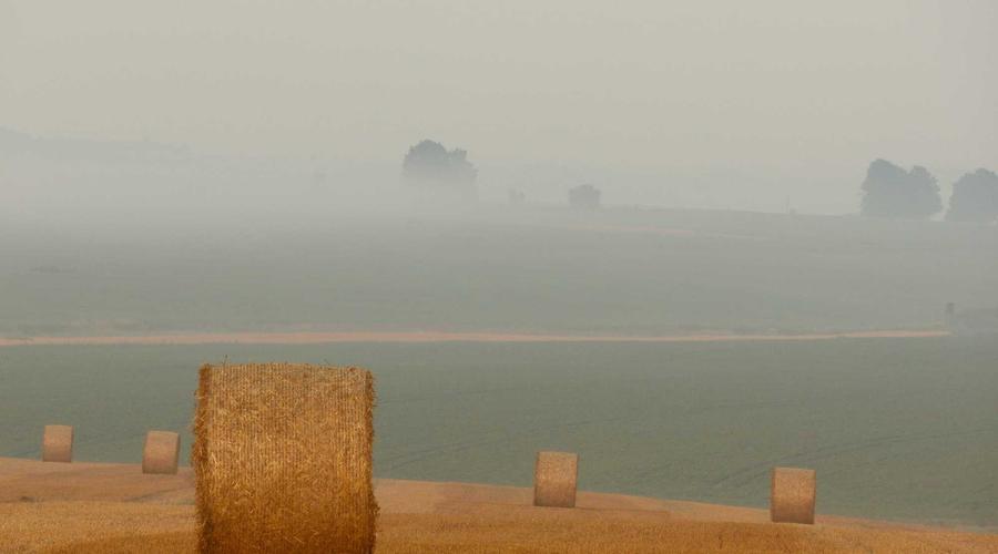 Studio gear và máy ảnh flycam