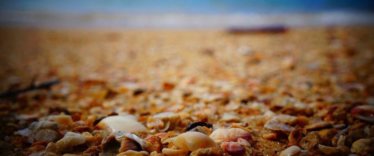 Kiểm toán chuyên nghiệp tại Pinnacle Audit