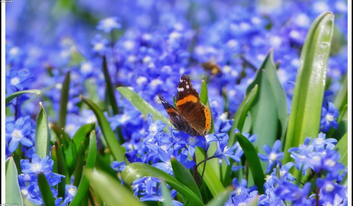 Interior Styling Details