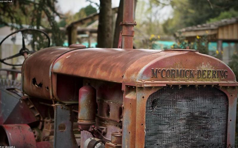 Tính chân thực trong nhiếp ảnh