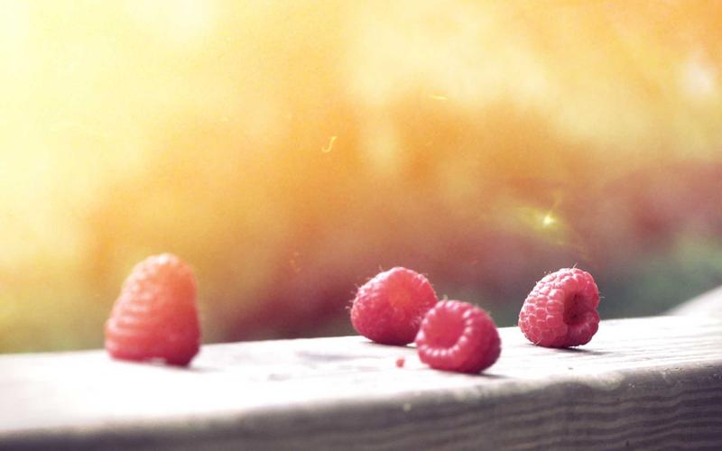 Nghệ thuật hoa cưới Wildflower 2026