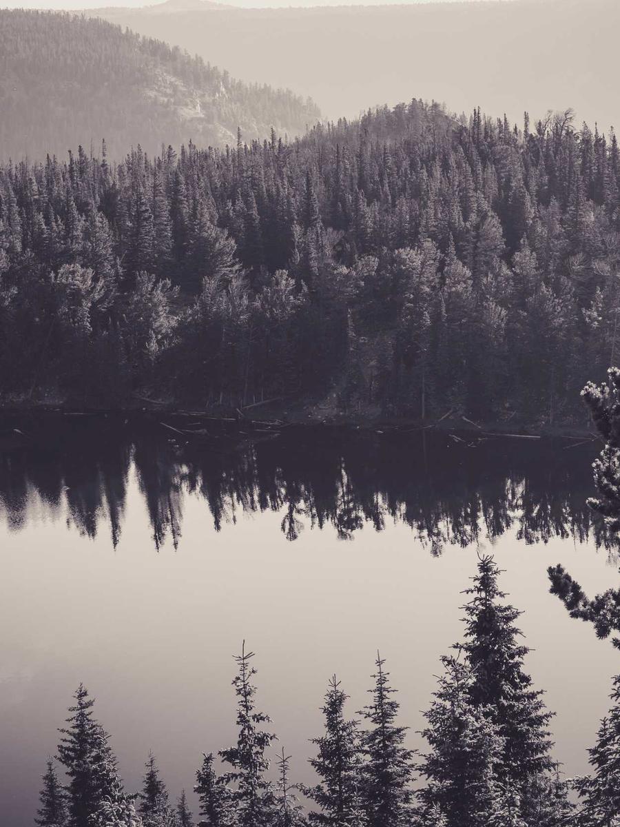 Tạo dáng tôn dáng 2026