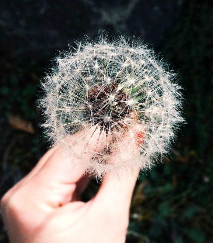 River silence retreat