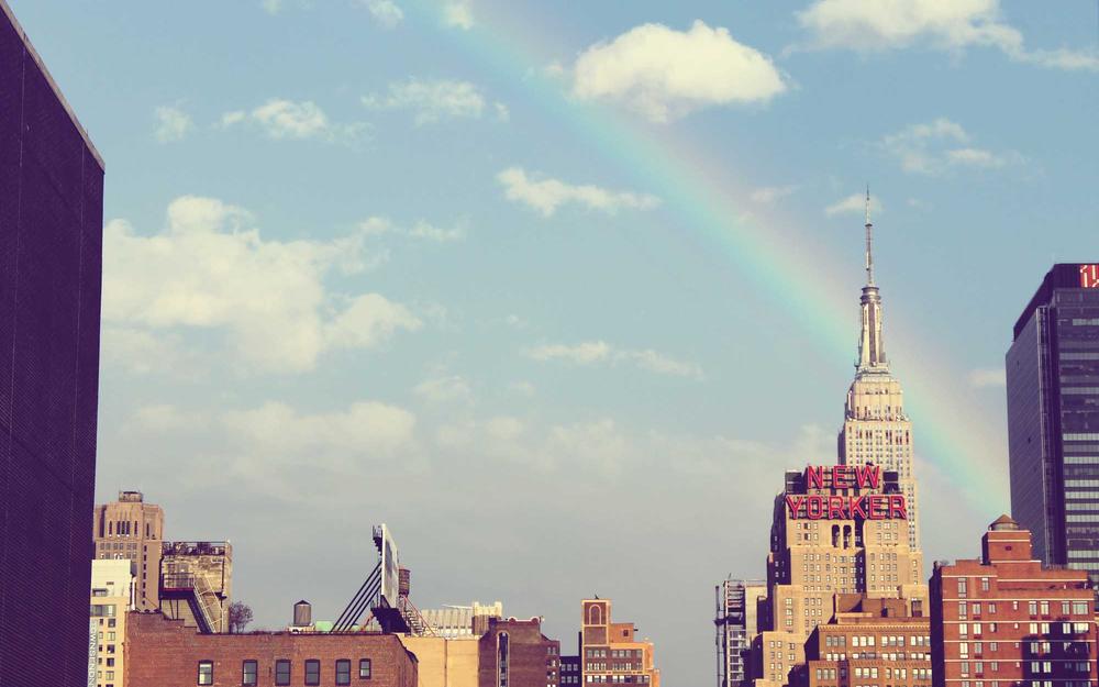 Hái lượm thảo mộc