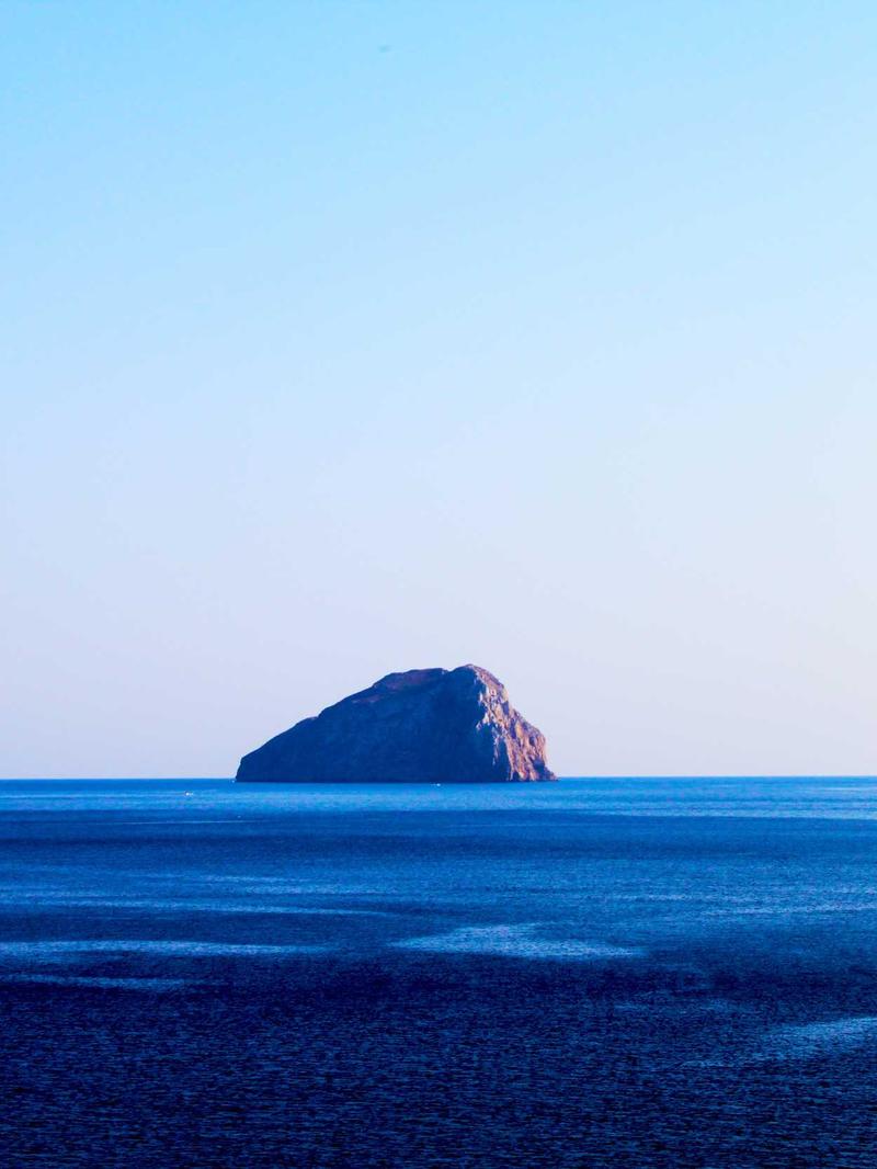 Suit cưới nữ cao cấp