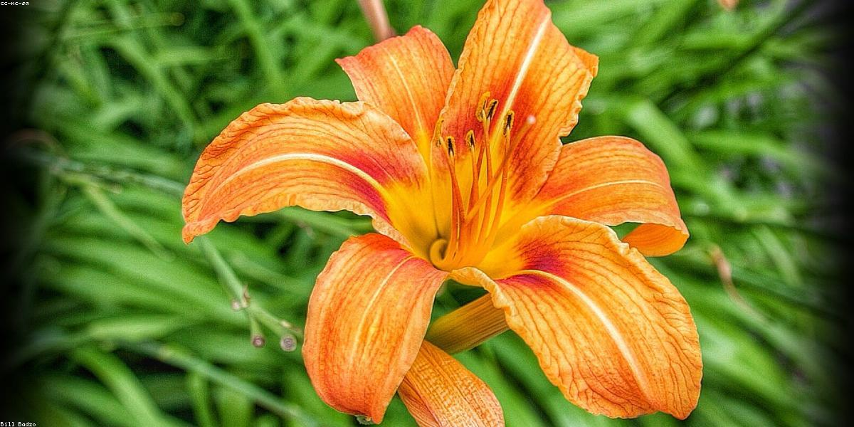 Xu hướng thiết kế AI 2024