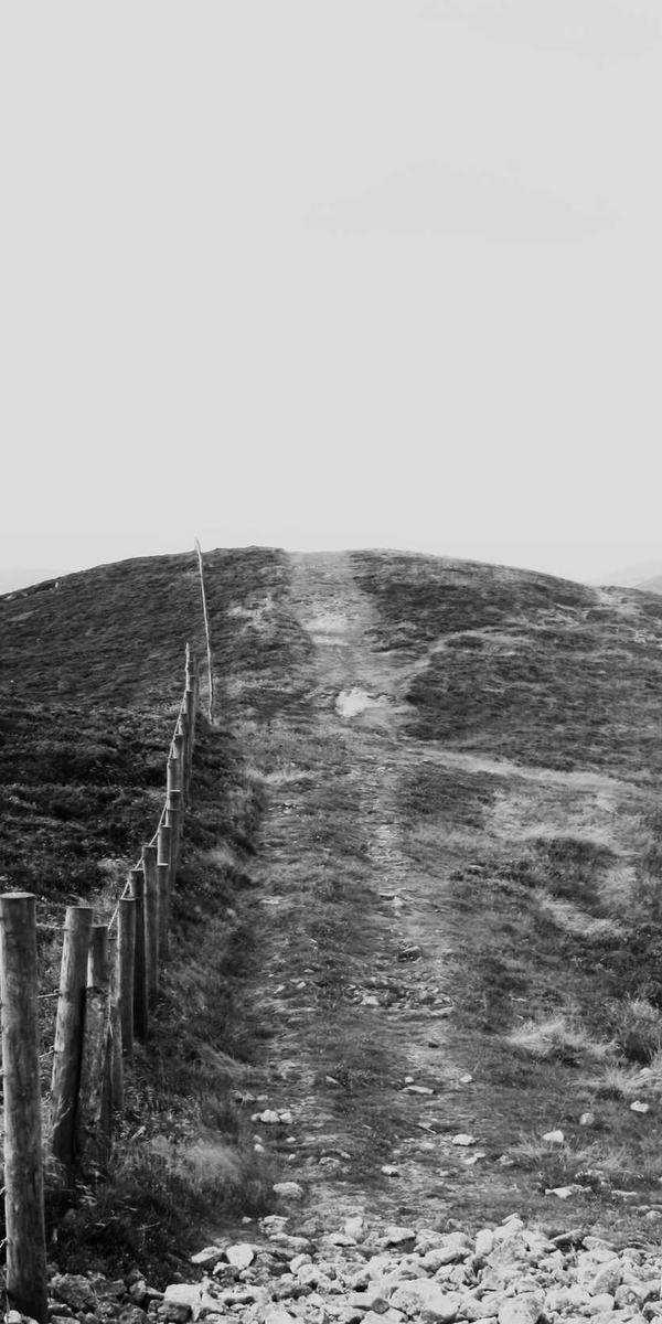 Bespoke Wallet Closeup