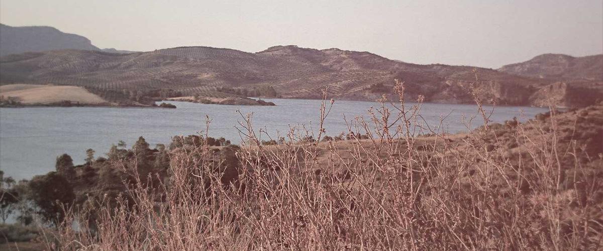 Góc không gian Apothecary