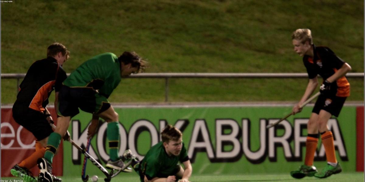 Professional styling presentation