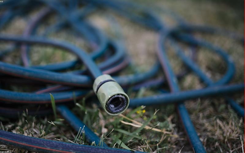 Đất trồng tự nhiên