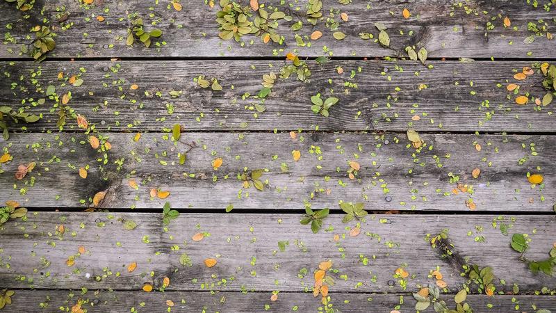 Apple Intelligence trên iPhone 16