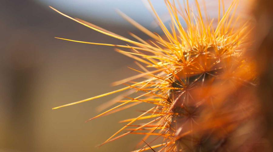 Nhẫn cưới kim cương 18K