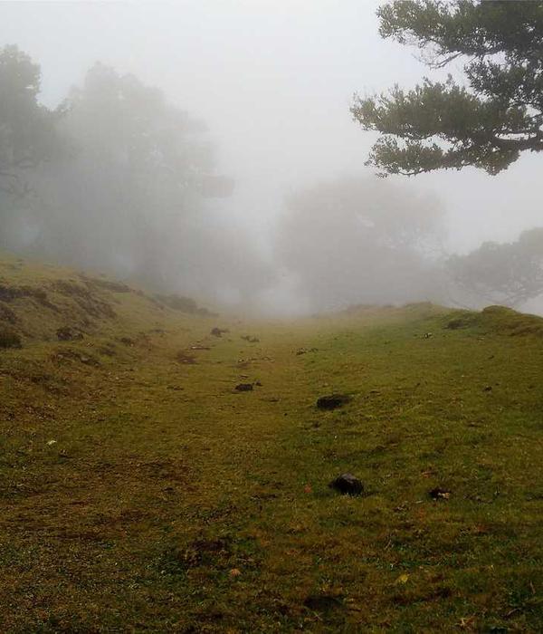 Submersible Technology