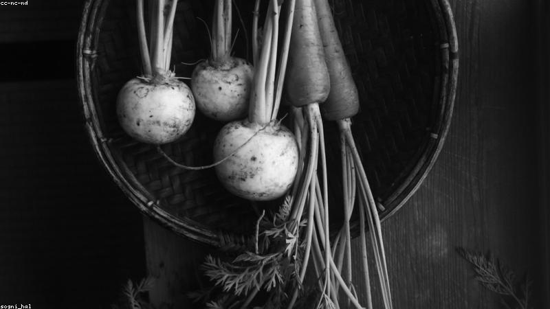 Nguồn rau củ hữu cơ sạch