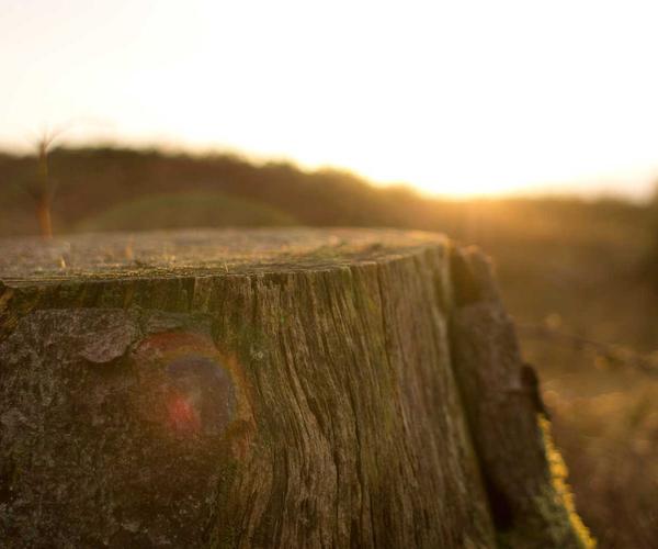 Luxury Shopping 2026