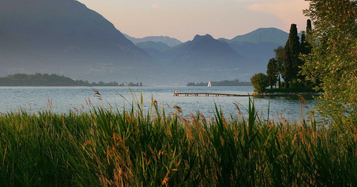 Hướng Dẫn Lựa Chọn Rượu Vang Nhập Khẩu Hoàn Hảo Cho Từng Thực Đơn Catering