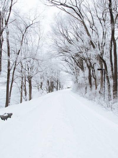 Swimsuit Tái Chế 2026