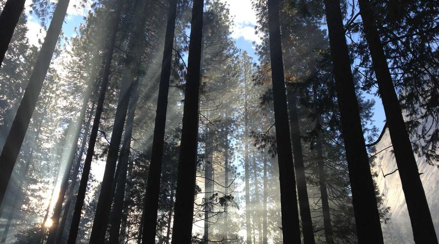 Underwater Exploration 2026